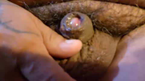 2791 3D online show from 19, 3, 2026