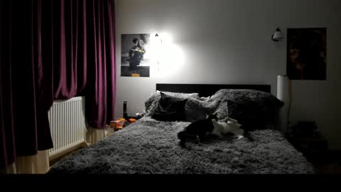 Lora online show from 8, 1, 2025