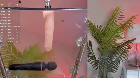 Snapshot of lovebabyblush chatting on 2, 3, 2025 Shynie online show from 2, 3, 2025