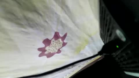 lovelypinay2 online show from 5, 2, 2025