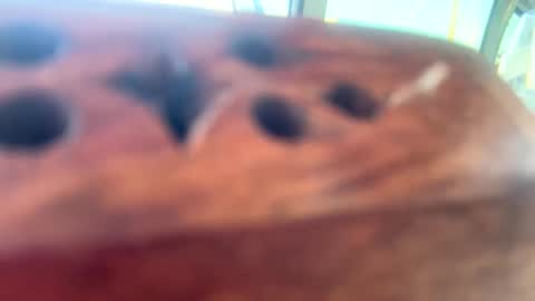 StacyMaeWish online show from 12, 3, 2025