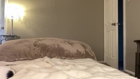 Lucy online show from 25, 11, 2025