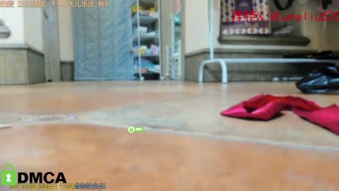 Snapshot of luna_liu520 chatting on 31, 12, 2024 luna online show from 31, 12, 2024