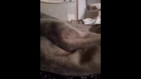 lunchmoney23 online show from 6, 3, 2026