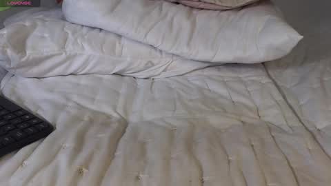 Snapshot of luneva chatting on 4, 1, 2025 Eva online show from 4, 1, 2025