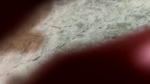 Snapshot of lust_4_daze chatting on 13, 2, 2026 lust_4_daze online show from 13, 2, 2026