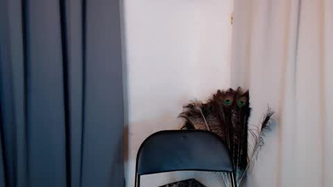 Snapshot of lustyseraphina chatting on 20, 2, 2026 lustyseraphina online show from 20, 2, 2026