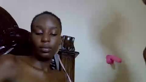 lutino_lovebirds online show from 11, 4, 2026