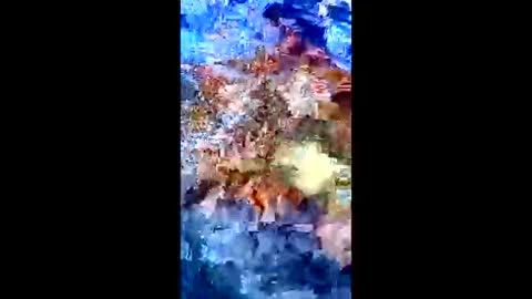 Peter Jacksone online show from 10, 1, 2026