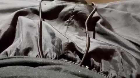 Lvac11 online show from 26, 9, 2025