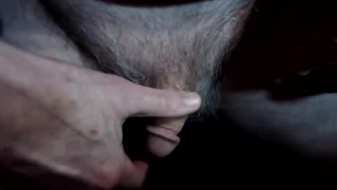 lwg1951 online show from 8, 4, 2026