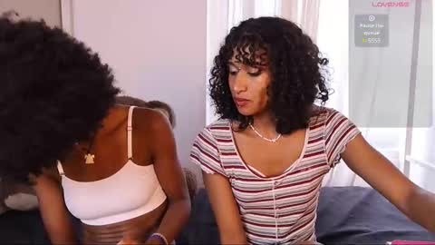 Lynx and Sun  online show from 12, 9, 2025