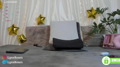 Snapshot of lynxrosen chatting on 17, 1, 2025 Lynx Rosen online show from 17, 1, 2025