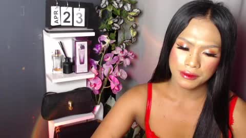 MADISONWILL online show from 26, 4, 2026