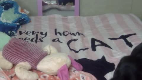 maferchavez88 online show from 9, 2, 2026