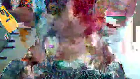 bauhaus online show from 3, 4, 2026