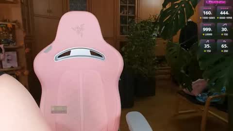 Nicole online show from 7, 11, 2025