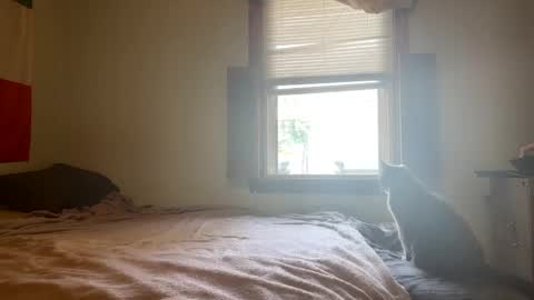 Snapshot of mainecollegeboy chatting on 26, 2, 2025 mainecollegeboy online show from 26, 2, 2025