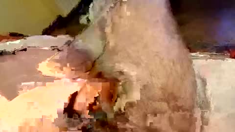 Snapshot of mako998843 chatting on 15, 2, 2026 mako998843 online show from 15, 2, 2026