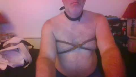 CommandbondageNipples bondage kink submissive lovense slave wgear. modequiethvyBondage If Password goldfish online show from 14, 10, 2025