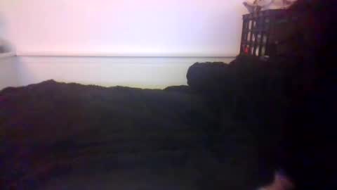 CommandbondageNipples bondage kink submissive lovense slave wgear. modequiethvyBondage If Password goldfish online show from 20, 10, 2025