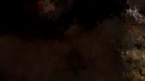 Mallubull online show from 17, 3, 2026