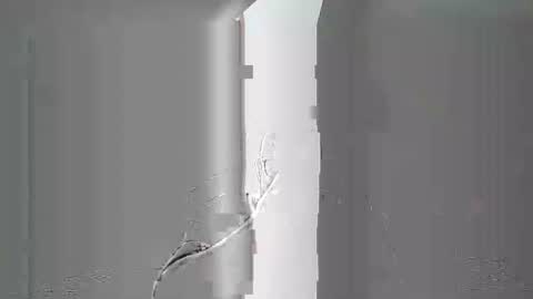 breton online show from 4, 2, 2026