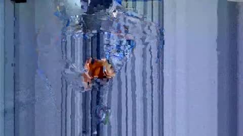 maluma1981 online show from 22, 12, 2024