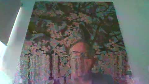 Snapshot of mambow99 chatting on 4, 4, 2026 OLDMANFREE online show from 4, 4, 2026