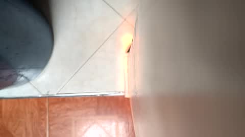 Mickey online show from 4, 4, 2026