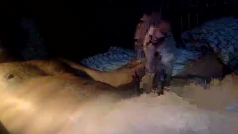 Snapshot of mandalay3 chatting on 9, 11, 2025 mandalay3 online show from 9, 11, 2025