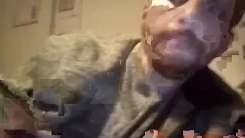 Snapshot of maniaksfucker chatting on 18, 1, 2025 LANGERFICK online show from 18, 1, 2025