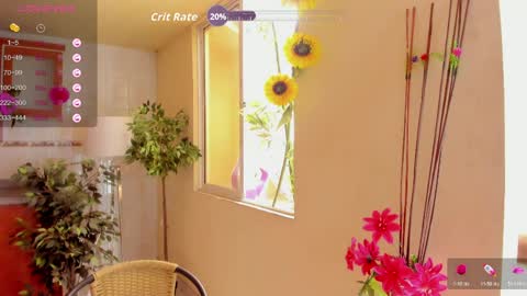 MARA  online show from 1, 4, 2026