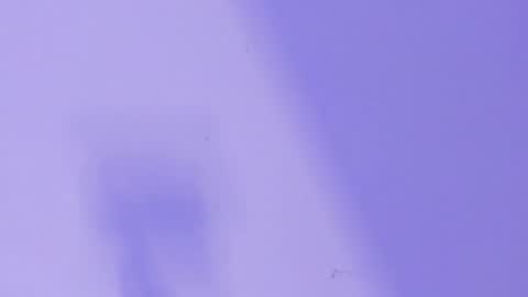 Snapshot of marcelo_dosantos77 chatting on 26, 1, 2025 MARCELO online show from 26, 1, 2025