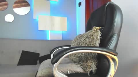 Marcus Jax1 online show from 14, 2, 2025