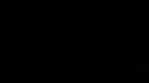 Elle online show from 26, 10, 2025