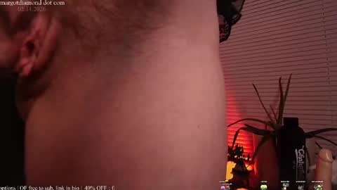   online show from 15, 2, 2026