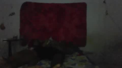 casal delicia online show from 1, 2, 2026