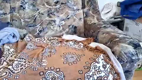 marian20242025 online show from 11, 3, 2026