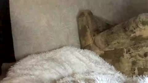 Marta online show from 27, 11, 2025