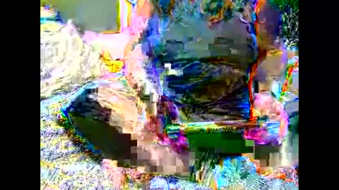 Martha online show from 6, 11, 2025