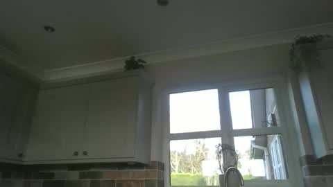 martinrgbxxxx online show from 23, 2, 2026