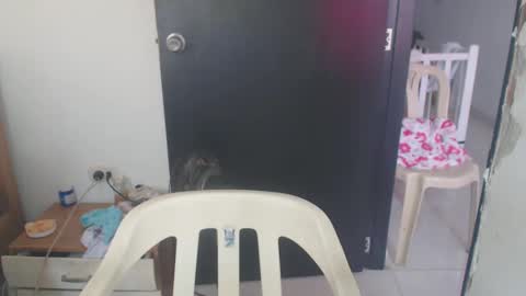 Snapshot of maryam_arabicmilk chatting on 8, 1, 2025 maryam_arabicmilk online show from 8, 1, 2025