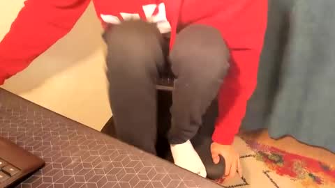 Silly Rabbit  online show from 15, 12, 2024