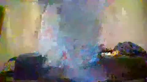 matt48195571828 online show from 31, 5, 2026