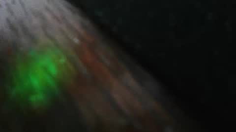 mattw31019 online show from 24, 2, 2026