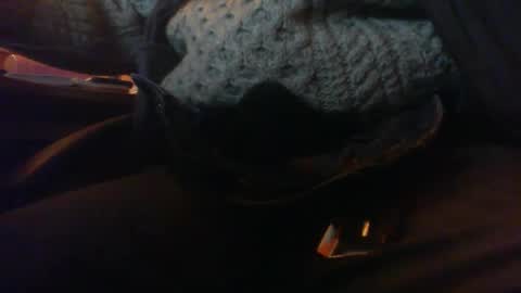 Maturedaddi online show from 3, 1, 2025