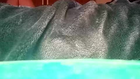 Snapshot of mauriciano2018 chatting on 12, 1, 2025 Ignacio online show from 12, 1, 2025