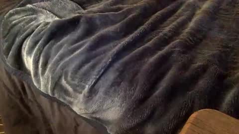 Snapshot of mauriciano2018 chatting on 9, 10, 2025 Ignacio online show from 9, 10, 2025