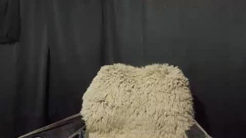 Snapshot of maximus_oreally chatting on 7, 1, 2025 Max online show from 7, 1, 2025